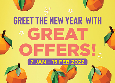 Greet the New Year with Great Offers